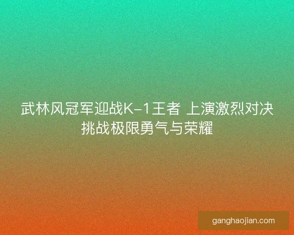 武林风冠军迎战K-1王者 上演激烈对决挑战极限勇气与荣耀
