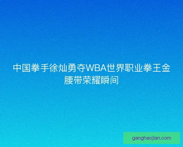 中国拳手徐灿勇夺WBA世界职业拳王金腰带荣耀瞬间