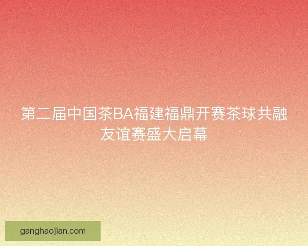 第二届中国茶BA福建福鼎开赛茶球共融友谊赛盛大启幕