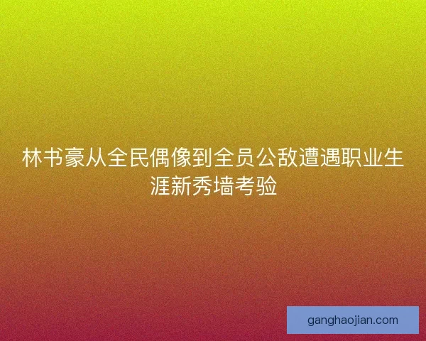 林书豪从全民偶像到全员公敌遭遇职业生涯新秀墙考验
