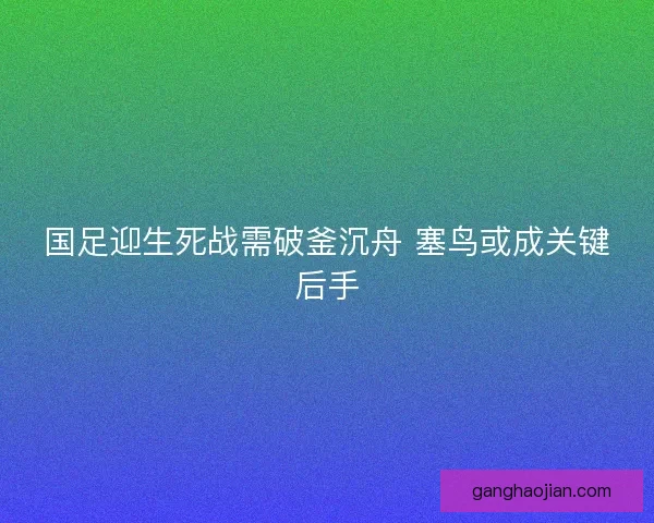 国足迎生死战需破釜沉舟 塞鸟或成关键后手